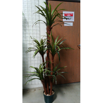 72'' Faux Dracaena Tree in Pot