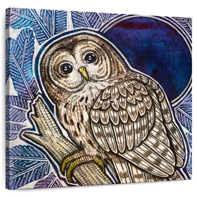 Crowle Barred Owl On Fir Tree
