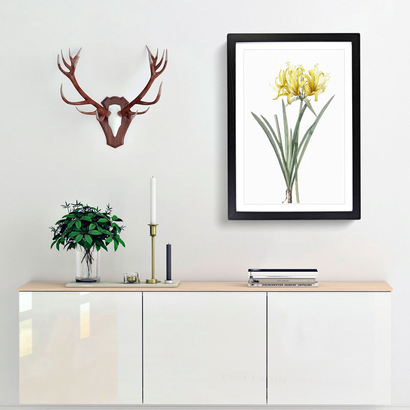 Golden Hurricane Lily by Pierre-Joseph Redoute - Picture Frame Painting Print, 36cm H x 27cm W x 2cm D, Black Framed