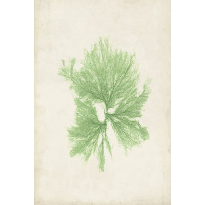 Peridot Seaweed III - Wrapped Canvas Painting