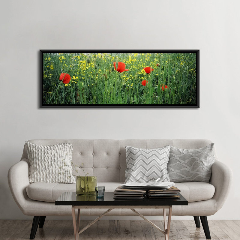 Reproduction de photo sur toile, H 12 po x l 36 po x P 1,5 po, Cadre noir