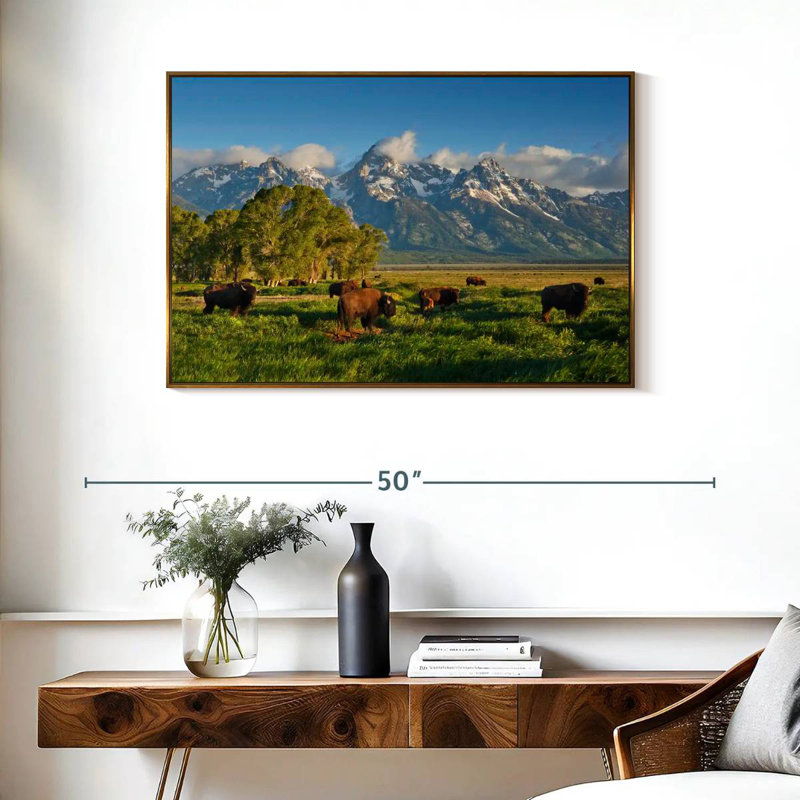 Bison de Grand Teton, Cadre flottant doré, 37 po x 25 po