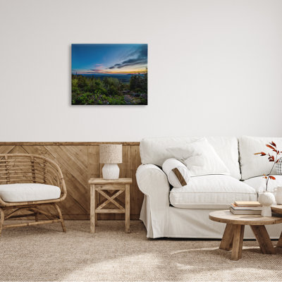 «Dense Brush Sunset Landscape Blue Sky Modern»