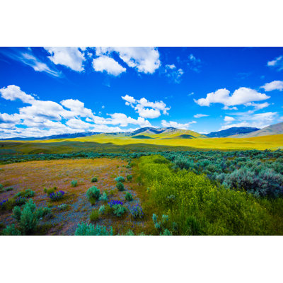 Nevada Prairie by Afm171 - Print