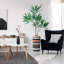 66 plantes-97701529