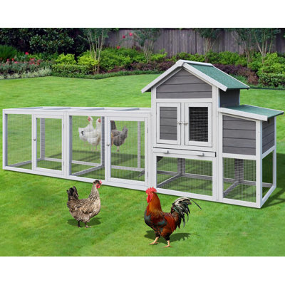 Grande cage à poulailler en bois avec poulailler