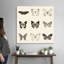« Butterfly BW 9 patch » par Debra Van Swearingen-impression-1954175067-1954175066
