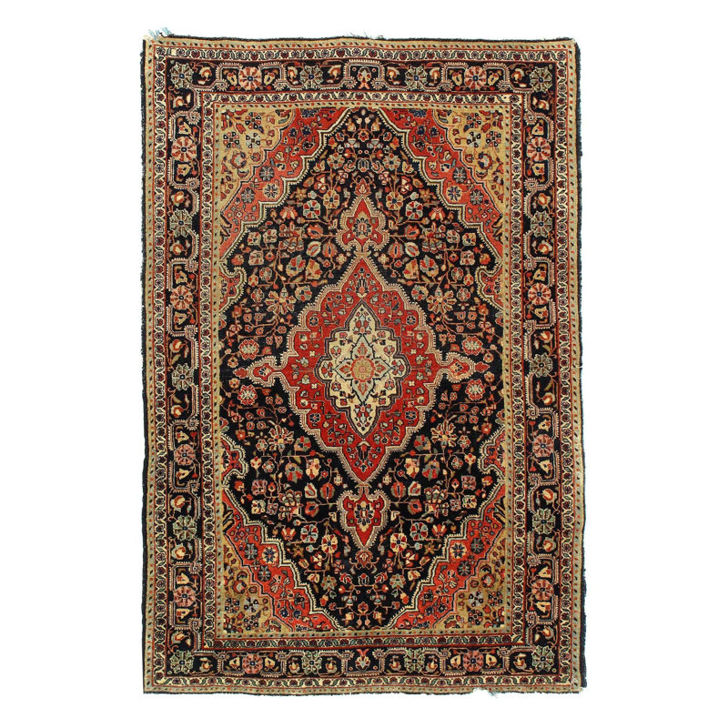 Meagann Hand Woven Cotton Oriental Area Rug