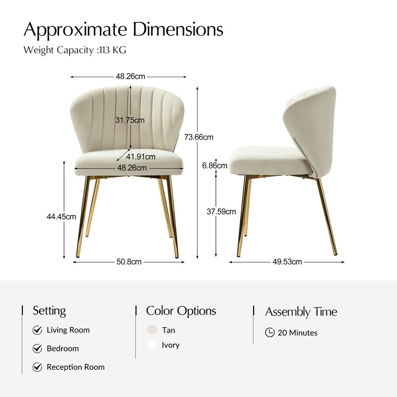 Daulton Modern Velvet Tub Chair with Channel Tufted Back and Metal Legs, Tan