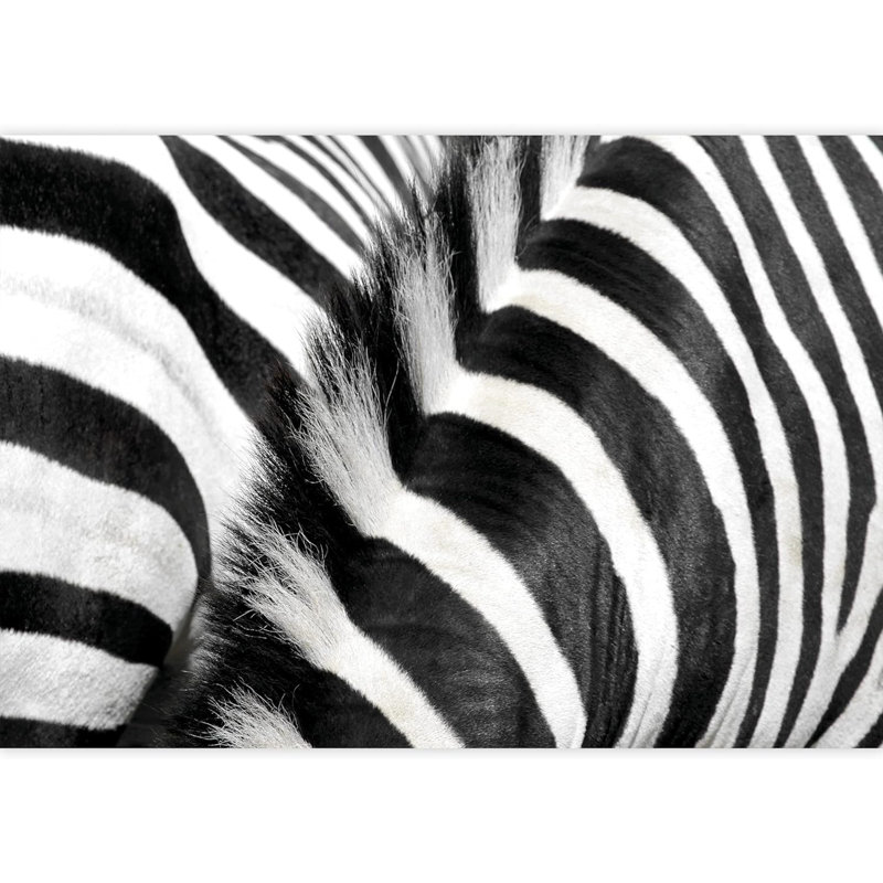 Animal Border, 66" L x 96" W