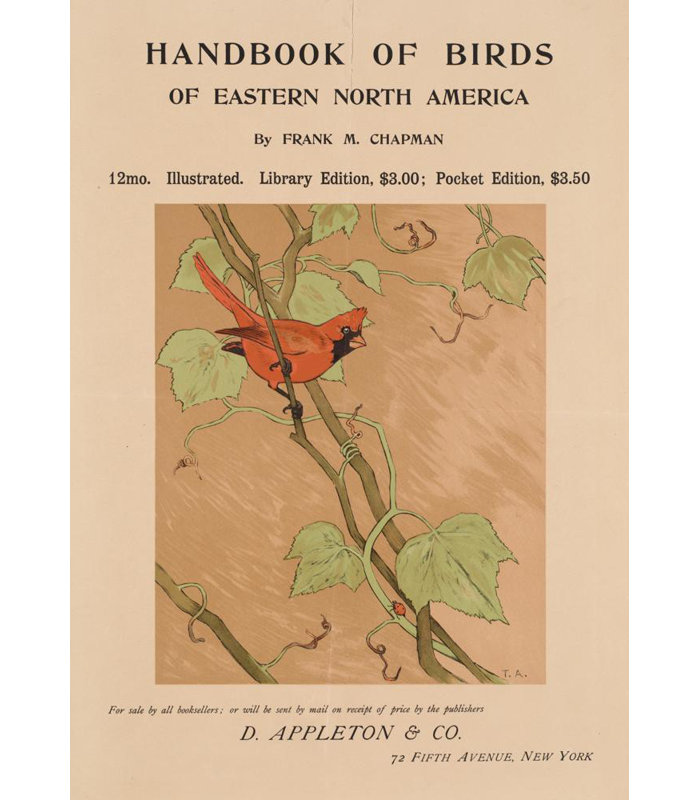 «Handbook of Birds of Eastern North America» par Tappan Adney - Art mural sur toile tendue avec châssis, H 18 po x l 14 po