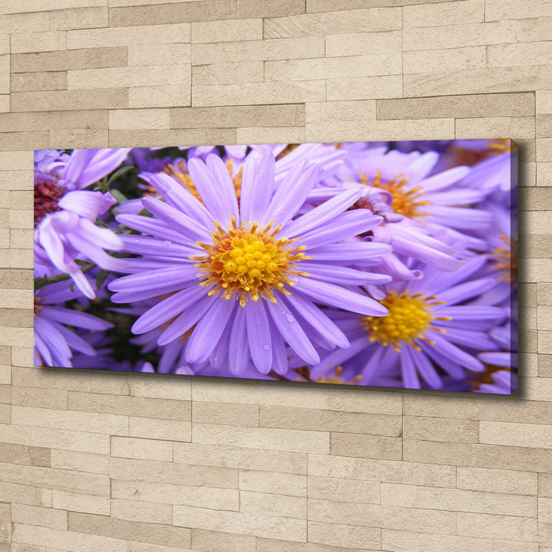 Astra - Wrapped Canvas Print