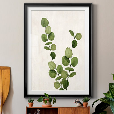 " Botanical Wash III "