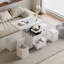 Mikayil Lift Top Four Leg Coffee Table with Storage-631232788-631232787