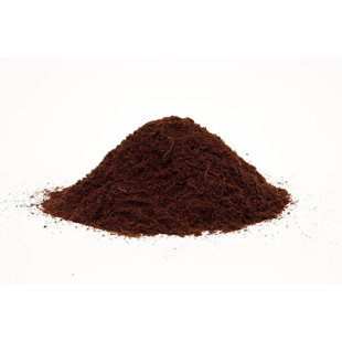 Royal Gold Coco Growing Kit
