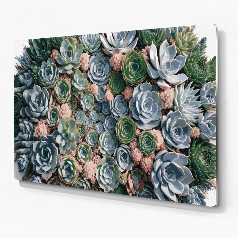 Art mural en métal Botanical Succulents, H 11 po x l 14 po