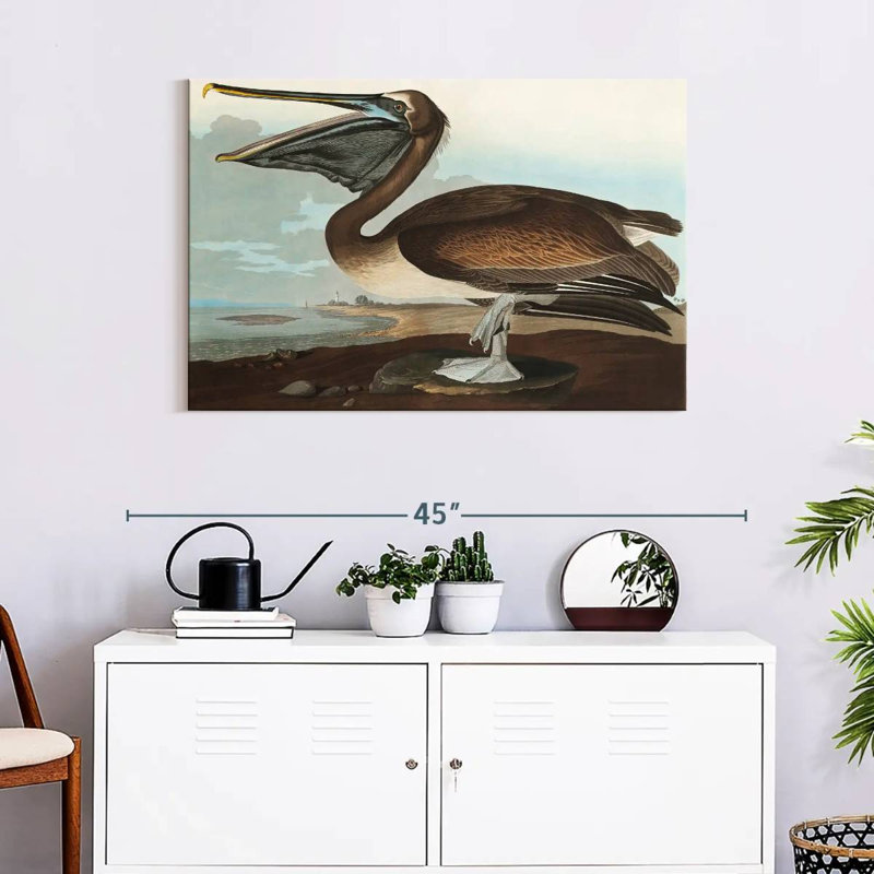 Brampt Brown Pelican I, 24" H x 36" W