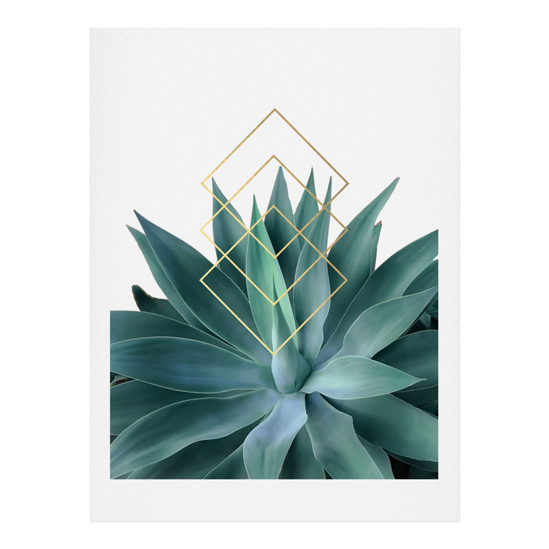 « agave geographical metrics », impression, H 10 po x l 8 po x P 2 po, Papier, Pas de tapis