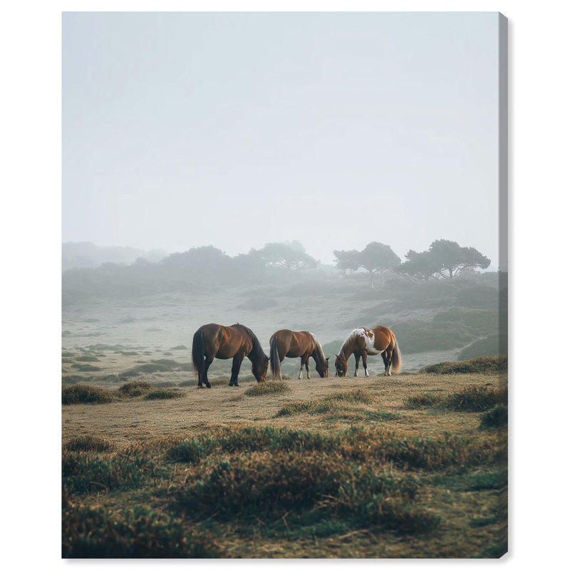 «Misty Pasture», reproduction d'art sur toile par Art Remedy, H 36 po x l 30 po, Toile tendue avec châssis