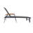 Set Of 2 Chaise Lounge For Sunbathing Reading-1944226140