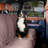 Allen Pet-952398516