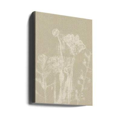 Fleurs abstraites. plantes et fleurs de prairie.