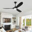 Ceiling Fan with LED Lights-1862298070-1856407080