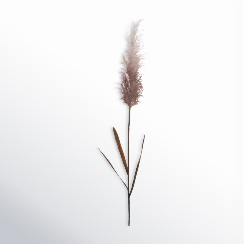 Ensemble de 2 plantes à roseaux artificiels, Crème