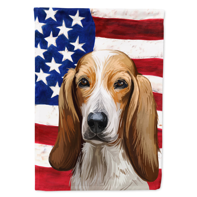 Polyester à 2 côtés 15 x 11 po drapeau de jardin, Chien Fino colombien