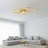 6-Light Flush Mount with Remote Control-124797180-124797182