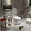 Toilette bidet allongée à double chasse