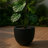 Owasso Tapered Round Pot Planter in Handmade MGO Clay Fiberstone - Indoor and Outdoor Use with Drain for Patio, Garden, Backyard, and Modern Home-1350687578-1350687582