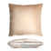 Square Pillow Cover & Insert