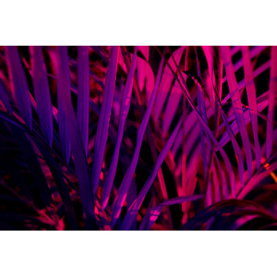 Blurred Leaf Forest - Wrapped Canvas Print