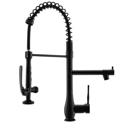 Fapully Pull Down Kitchen Faucet