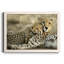 Ensemble de sous-verres 4 pièces 4 pièces-501012926-501012921