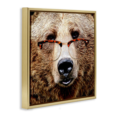 Grizzly avec lunettes