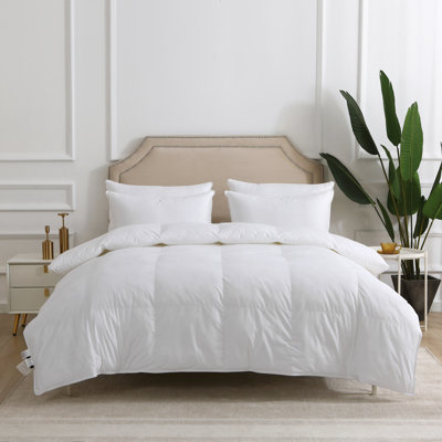 Couette en microfibre de luxe Royal Elite