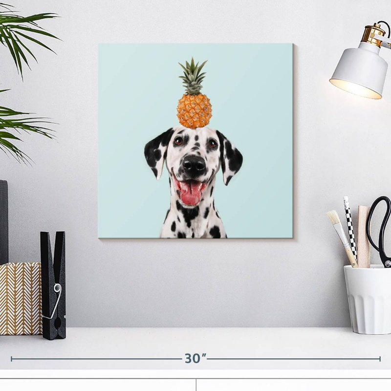 Crowle ananas sur dalmatien, H 16 po x l 16 po
