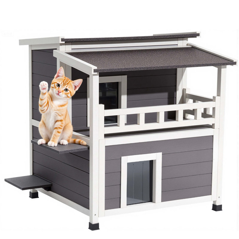 Maison de chat isolée