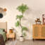 Grand arbre jacaranda artificiel AdFT de 7 pi dans un pot à fleurs blanc, faux arbre, plante artificielle - feuilles vertes réalistes, arbre de sol moderne - Home Decor
