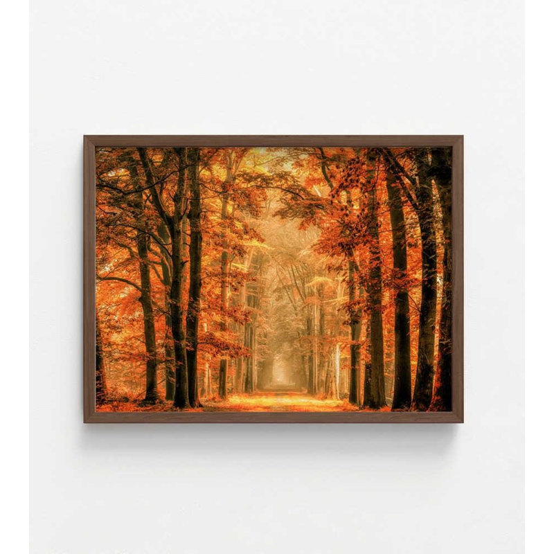 Exit the portail, reproduction d'art: forêt d'automne, feuillage doré, Brown, 36" H x 48" W