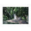 Art sur toile, «Bob Bob Langrish Nyala Antelope»-104135210