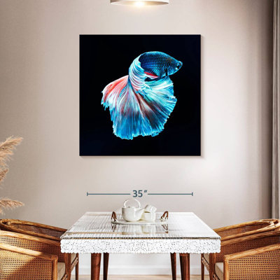 Brampt Glowing Blue Betta Fish