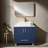 Ebony 24'' Blue Morden Free-standing Single Bathroom Vanity Set