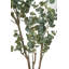 130cm Faux Eucalyptus Tree in Fibrestone Pot-1203865728