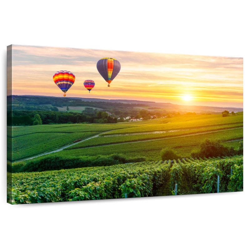 Ballons Alvord au-dessus du vignoble, H 8 po x l 12 po