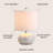 Chery Seashell Table Lamp