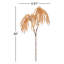 Ensemble de 2 plantes à roseaux artificiels-440331920