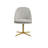 Avanos 4 Star Swivel Side Chair-86693356-86693353